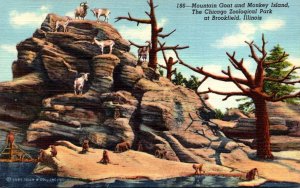 Illinois Chicago Zoological Park At Brookfield Mountain Goat & Monkey Island ...