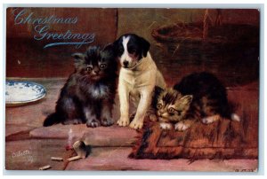 Postcard Christmas Greetings Two Cats and a Hound Puppy c1910 Oilette Tuck Dogs