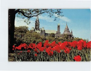 Postcard The Parliament Buildings as seen from Major Hill Park, Ottawa, Canada