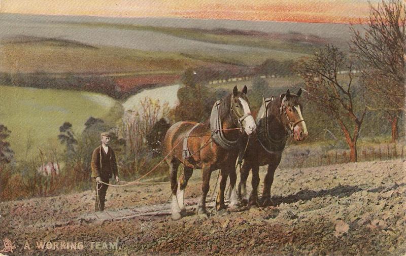  Horses. A working team Tuck Rapholette Farm Life Series PC #8074