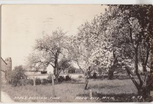 Michigan Mich RPPC Real Photo Postcard 1946 REED CITY Apple Blossom Time