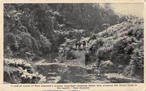 BR100384 new zealand crystal mountain streams