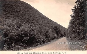 Road and Mountain - Roxbury, New York NY  