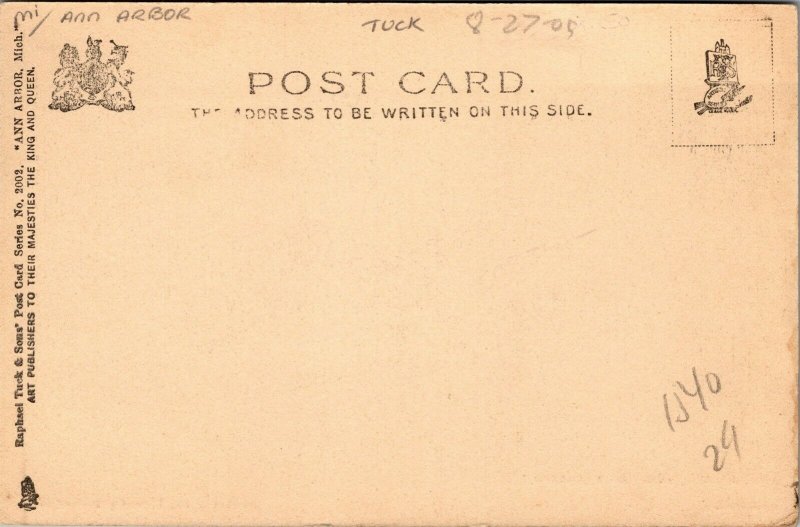 Vtg Ann Arbor Michigan MI On The Huron River pre-1908 Raphael Tuck Postcard