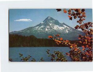 Postcard Mt. Hood, Oregon