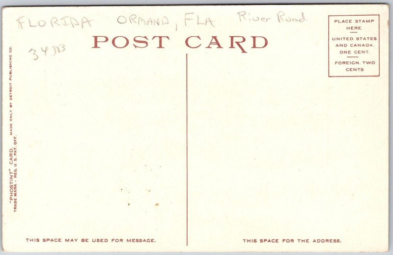 Royal Arch Oak Tree Ormana Florida FL River Road Pathway Hiking Trail Postcard