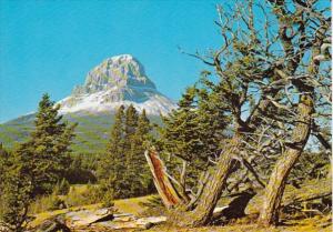 Canada Southern Alberta Crowsnest Mountain