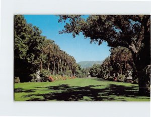 Postcard The North Vista Huntington Library Art Gallery & Botanical Gardens CA