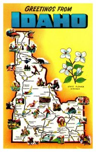 Postcard MAP Idaho - Greetings from Idaho - State Flower Syringa