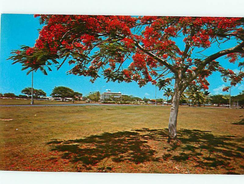 Vintage Post Verde International Airport San Juan Puerto Rico  # 3759