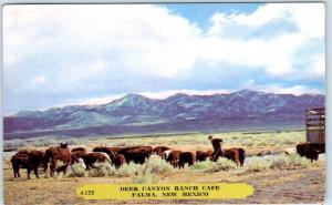 PALMA, New Mexico NM  Roadside Advertising DEER CANYON RANCH CAFE 1953 Postcard