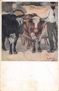 US2833 Aug. Nemejc Volici Cows Animals Postcard slovakia czech republic  artist