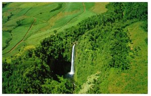 Akaka Falls Hilo Hawaii Postcard