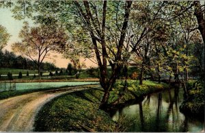 Road Through Forest Park Springfield MA c1909 Vintage Postcard J23