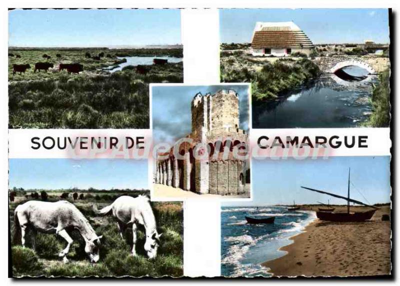 Modern Postcard Souvenir de Camargue
