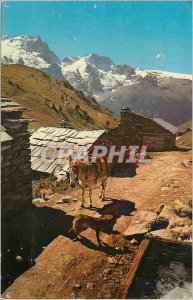 Modern Postcard The Alps in Natural Colors Hamlet High Mountain Donkey Donkey