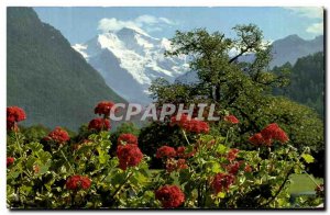 Modern Postcard Interlaken Jungfrau