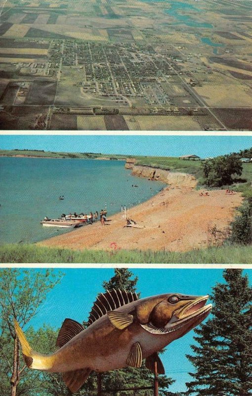GARRISON, ND North Dakota AERIALBoats At LAKE SAKAKAWEAWilly Walleye