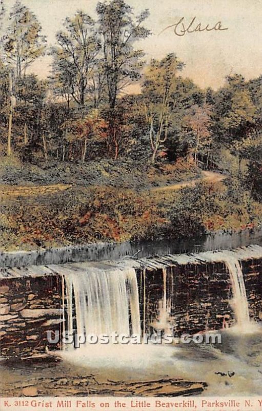 Grist Mill Falls on the Little Beaverkill - Parksville, New York NY  