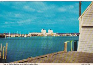 Canada Nova Scotia Digby View Of Harbour and Scallop Fleet