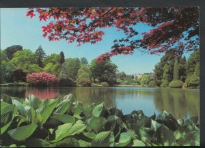 Sussex Postcard - Sheffield Park Gardens - Distant View of The House   T1578