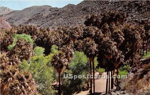 Palm Springs - Palm Canyon, CA