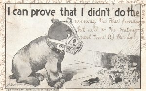 I Can Prove That I Didn't Do The Comic Dog Muzzle Vintage Postcard 1916