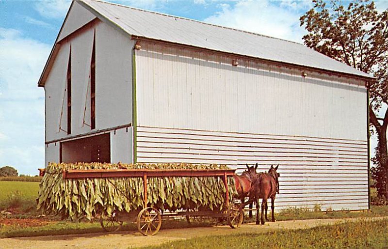 Amish Country, Tobacco Wagon Unused 