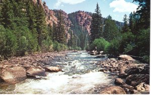 US    PC4304 THE TAYLOR RIVER NEAR, GUNNISON, COLORADO