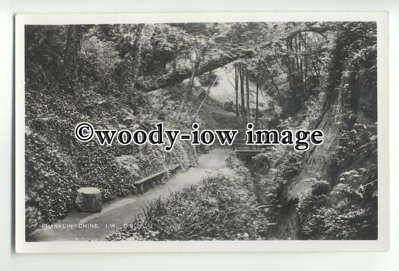 iw0176 - Shanklin Chine , Isle of Wight - postcard by Dean