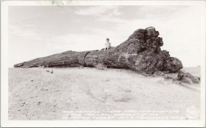 Petrified National Forest AZ Rainbow Forest Child Frashers RPPC Postcard G57