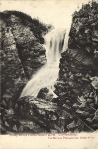 canada, Steady Brook Falls Humber River (1910s) Postcard