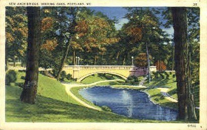 New Arch Bridge, Deering Oaks in Portland, Maine