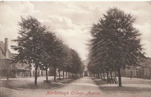 Wiltshire Postcard - Marlborough College Avenue   U1792