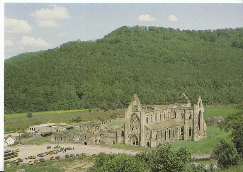 Wales Postcard - Tintern Abbey - Wye Valley - Monmouthshire   AB1657