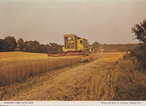 Felden Farming Harvest Time Hay Herts Hertfordshire Womens Institute Postcard