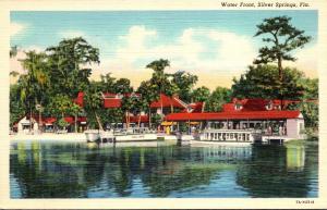 Florida Silver Springs Water Front Curteich