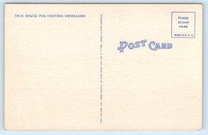 1940 Lake Winnipesaukee New Hampshire NH Vintage Postcard Water Sports The Weirs