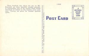 Fayetteville Arkansas Methodist Assembly Multiview Antique Postcard K35377