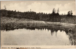 Where the Mississippi River Leaves Lake Itasca MN Vintage Postcard E50