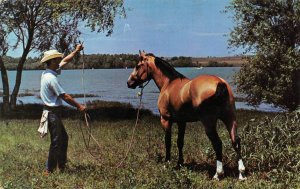 Fort Worth, TX Texas  COWBOY & HIS HORSE~Begger Poo LAKE BENBROOK  1971 Postcard