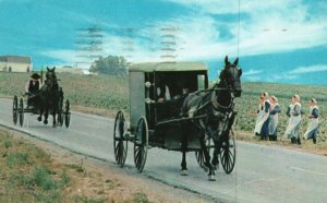 Vintage Postcard 1963 Amish Family Carriage Courting Buggy Pennsylvania Dutch Co