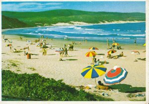 South Africa Postcard - Buffels Bay - Near Knysna - Cape - Ref TZ5371