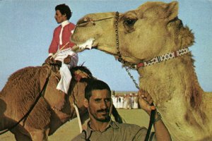PC CPA SAUDI ARABIA, AFTER A CAMEL RACE, Modern Postcard (b15889)