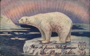 Wales Goodyear Bear Brand Rubbers Shoes Polar Bear Ad c1910 Postcard