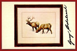 Guy Coheleach's Collector Prints - American Elk - [MX-1092]