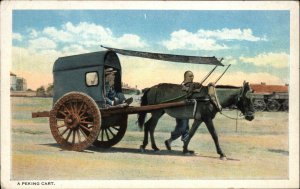 Beijing Peking China Horse or Mule Cart c1920 Postcard