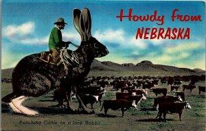 VINTAGE NEBRASKA COWBOY RIDING GIANT JACK RABBIT EXAGGERATED POSTCARD 36-29