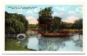Antique Willow Pond in the Residential Section, East Avenue, Rochester, NY