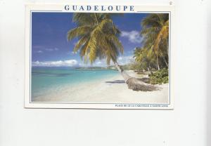 BF28157 plage de lela caravelle guadeloupe  caribbean islands  front/back image